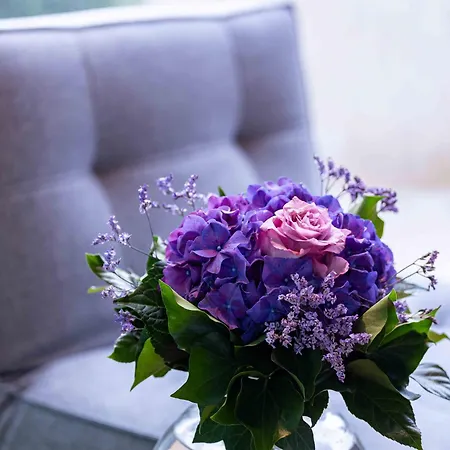 Fancy Loft Mit Traumblick Apartment